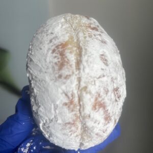 Powdered Sugar