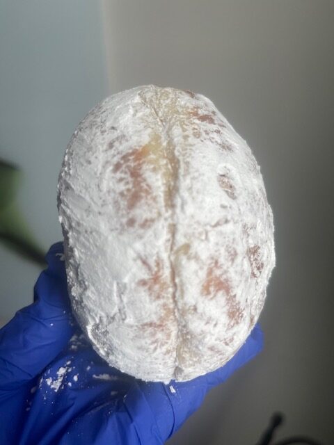 Powdered Sugar